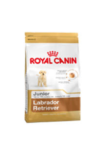 ROYAL CANIN BREED LABRADOR JUNIOR dostpne do wyczerpania zapasw 12 kg - 2854928592