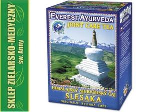 SLESAKA EVEREST AYURVEDA HERBATA AYURWEDYJSKA 100g - 2861469722