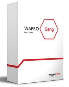 30 Biznes Wapro Gang - 2871092280