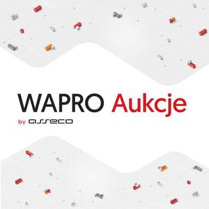 Biznes 3000 Wapro Aukcje Baselinker - 2871092314