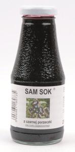 Sam Sok z czarnej porzeczki 250 ml - 2827423127