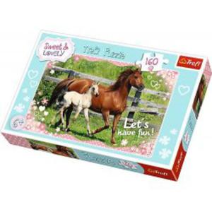 Puzzle 160 el. Sweet & Lovely - Popoudniowy spacer - 2862527670