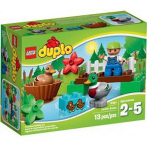 LEGO DUPLO 10581 Kaczki - 2833589715