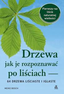 DRZEWA JAK JE ROZPOZNAWA PO LICIACH 64 DRZEWA LICIASTE I IGLASTE Bosch Meike - 2877013956