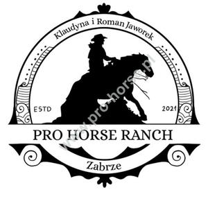 WARSZTATY JEDZIECKIE PRO HORSE RANCH - 2872689685