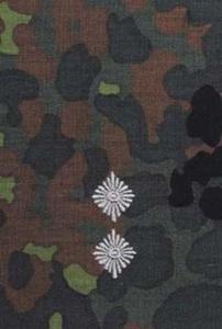 Pagon BW flecktarn - srebrne obszycie - 17. Oberleutnant - 1852877804